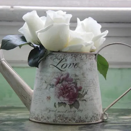 Casa Grande Portugal Bed & Breakfast